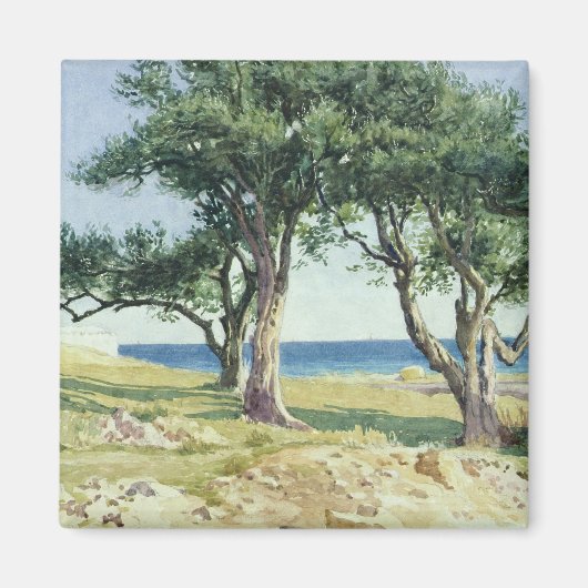 Alte Olivenbäume, Bordighera Magnet (Vorne)