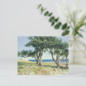 Alte Olivenbäume, Bordighera Postkarte (Stehend Vorderseite)