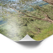 Alte Olivenbäume in der Toskana Fotodruck (Ecke)