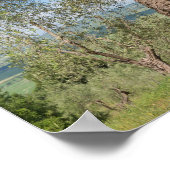 Alte Olivenbäume in der Toskana Poster (Ecke)