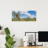 Alte Olivenbäume in der Toskana Poster (Heimbüro)