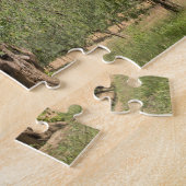 Alte Olivenbäume in der Toskana Puzzle (Seite)