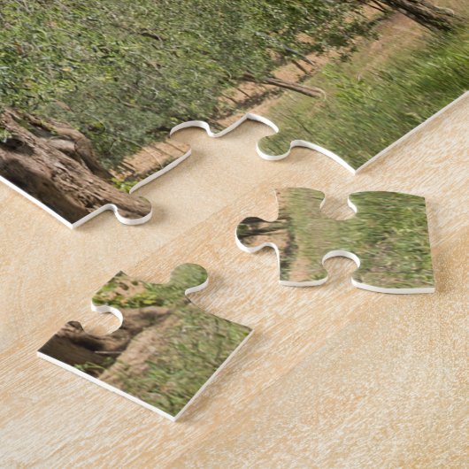 Alte Olivenbäume in der Toskana Puzzle (Seite)