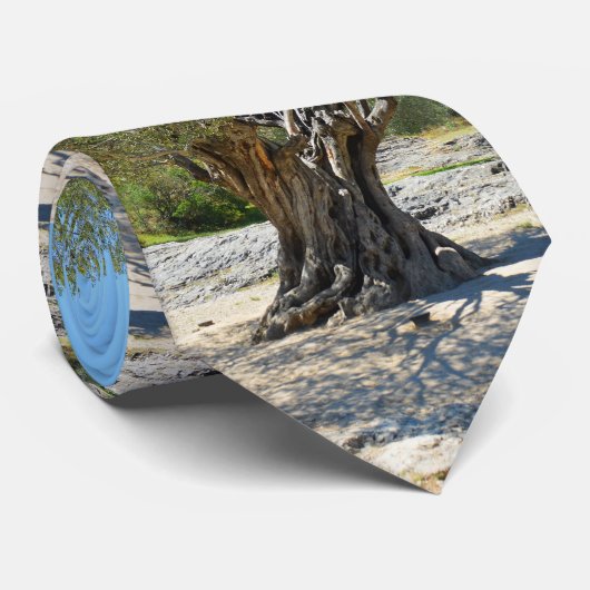 Alte Olivenbaummode Krawatte (Gerollt)