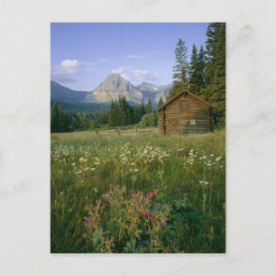 Alte Park-Servicehütte im Cut Bank Valley Postkarte