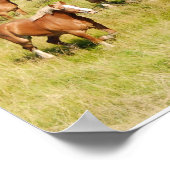 Alte Pferde drucken Poster (Ecke)