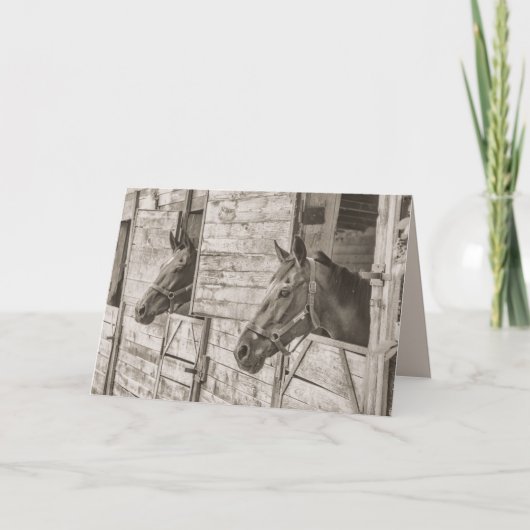 alte Pferde mit Grußkarte Feiertagskarte (Vorderseite)
