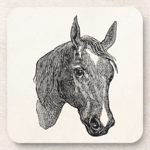 Alte Pferdekopf-Illustration aus dem 19. Jahrhunde Getränkeuntersetzer