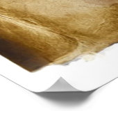 Alte Piratenkarte Poster (Ecke)