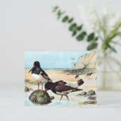 Alte Postkarte - Austernfang (Stehend Vorderseite)