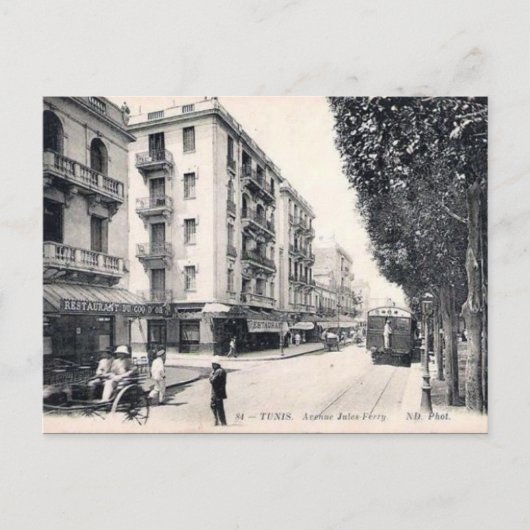 Alte Postkarte - Ave Jules-Ferry, Tunis (Vorderseite)