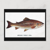 Alte Postkarte - braune Forelle (Vorderseite)