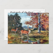 Alte Postkarte - Braunschweig (Vorne/Hinten)