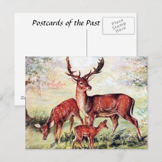 Alte Postkarte - Braunschweig (Vorne/Hinten)