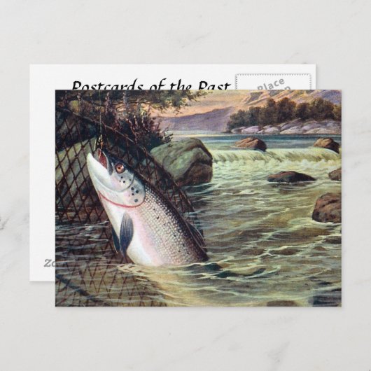 Alte Postkarte - Ein Lachs gelandet (Vorne/Hinten)