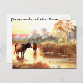 Alte Postkarte - Ein Sommer-Abend (Vorne/Hinten)