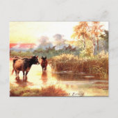 Alte Postkarte - Ein Sommer-Abend (Vorderseite)