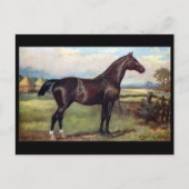 Alte Postkarte - Englischer Jäger (Vorderseite)