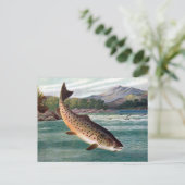 Alte Postkarte - Forelle (Stehend Vorderseite)