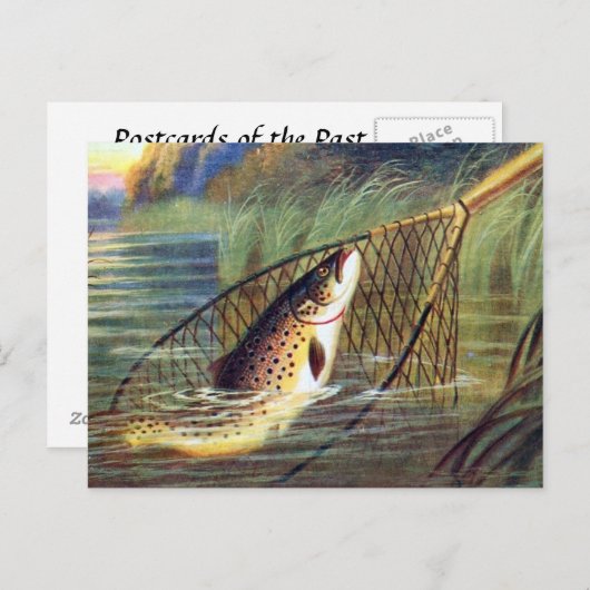 Alte Postkarte - Forelle (Vorne/Hinten)