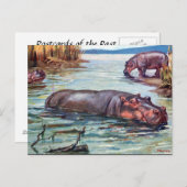 Alte Postkarte - Hippopotamus (Vorne/Hinten)
