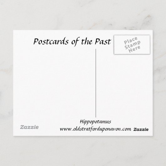 Alte Postkarte - Hippopotamus (Rückseite)