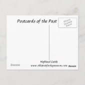 Alte Postkarte - Hochlandrinder (Rückseite)