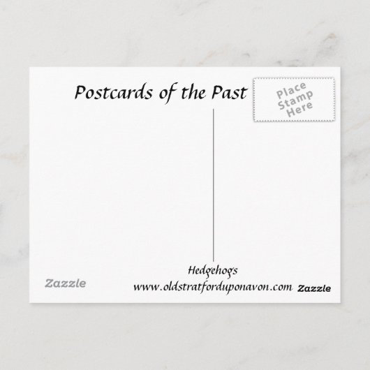 Alte Postkarte - Igel (Rückseite)