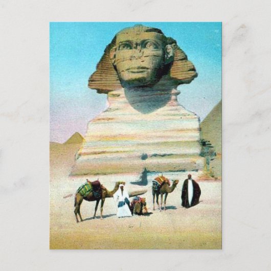 Alte Postkarte - Kairo, die Sphinx (Vorderseite)