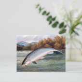 Alte Postkarte - Lachs (Stehend Vorderseite)