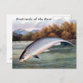Alte Postkarte - Lachs (Vorne/Hinten)