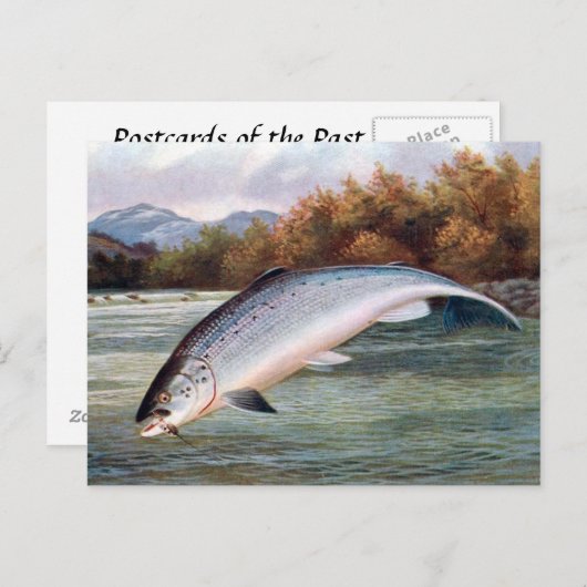 Alte Postkarte - Lachs (Vorne/Hinten)