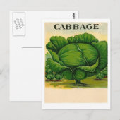 alte Postkarte mit Kohl-Samenpaket (Vorne/Hinten)