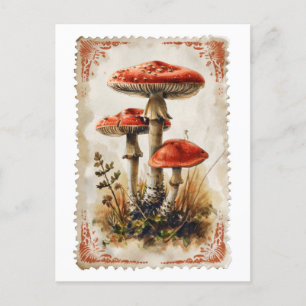 Alte Postkarte mit roten Pilzen