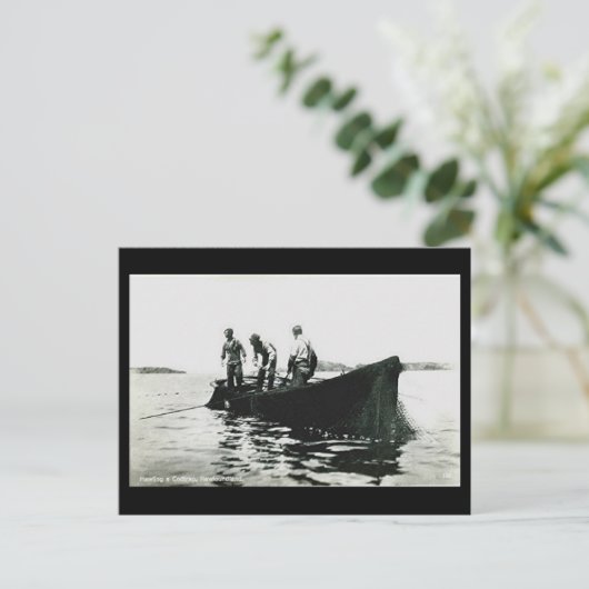 Alte Postkarte - Neufundland, Kabeljaufischerei (Stehend Vorderseite)