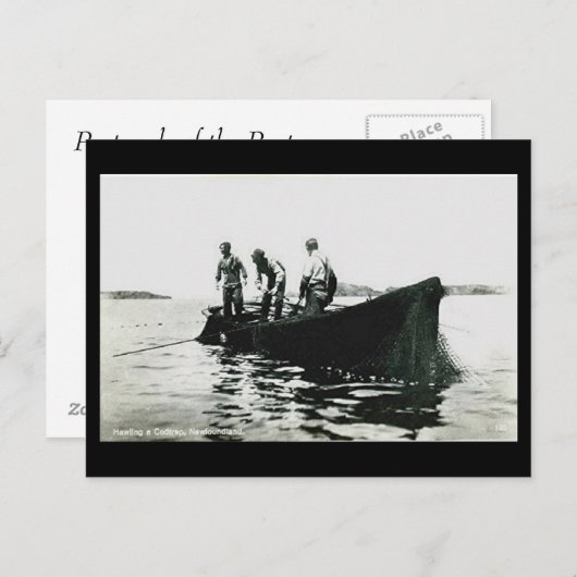 Alte Postkarte - Neufundland, Kabeljaufischerei (Vorne/Hinten)