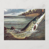 Alte Postkarte - Pike (Vorderseite)