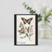 Alte Postkarte - Schlucken Schwanz (Stehend Vorderseite)