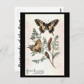 Alte Postkarte - Schlucken Schwanz (Vorne/Hinten)