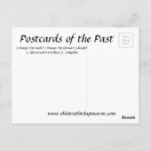 Alte Postkarte - Schmetterlinge (Rückseite)