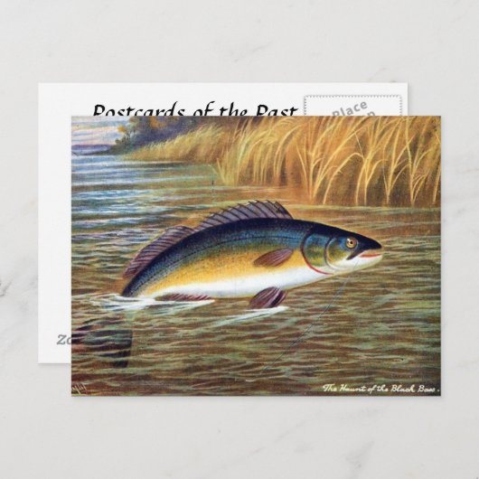Alte Postkarte - Schwarzer Bass (Vorne/Hinten)
