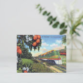 Alte Postkarte - "Streamliner" in Florida (Stehend Vorderseite)