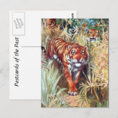 Alte Postkarte - Tiger (Vorne/Hinten)