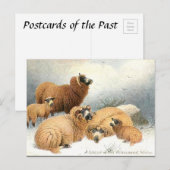 Alte Postkarte - Winter (Vorne/Hinten)