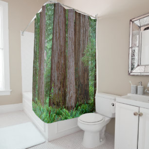 Alte Redwoods Towering Duschvorhang