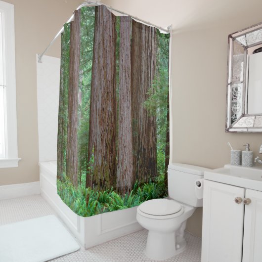 Alte Redwoods Towering Duschvorhang (Beispiel)