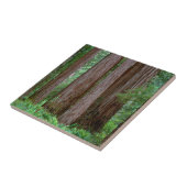 Alte Redwoods Towering Fliese (Seite)