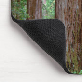 Alte Redwoods Towering Mousepad (Ecke)