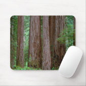 Alte Redwoods Towering Mousepad (Mit Mouse)