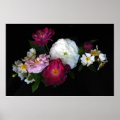 Alte Rose Poster (Vorne)